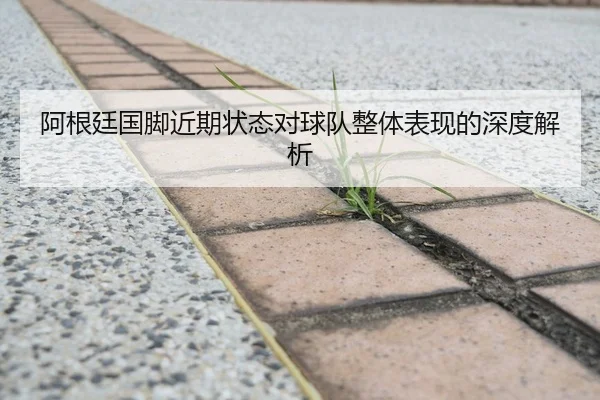 阿根廷国脚近期状态对球队整体表现的深度解析
